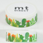 mt DIRECT Online Limited Edition [MT01N147] - Various Cacti
