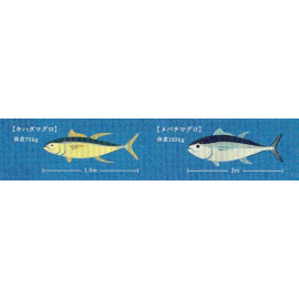 mt masking Tape - mt school Tohoku (Yamagata, Fukushima and Miyagi) [MT01K353] - Tohoku Local Tape Miyagi