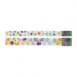 Pokemon Center Exclusive Masking Tape Set - SHINKA NO ISHI