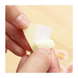 Furukawashiko Flake Seals [QSA77-320] - Fruits